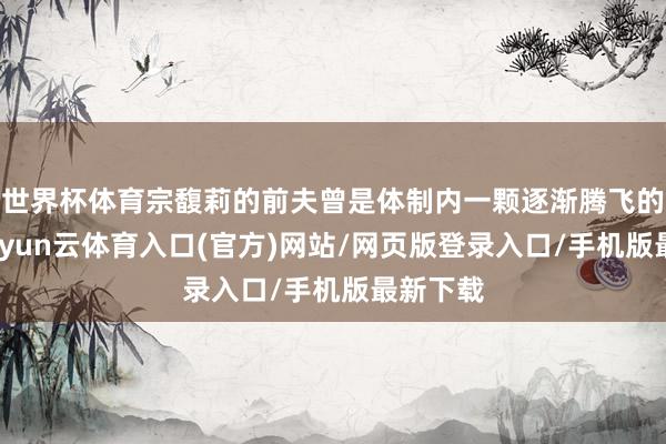 世界杯体育宗馥莉的前夫曾是体制内一颗逐渐腾飞的新星-开yun云体育入口(官方)网站/网页版登录入口/手机版最新下载