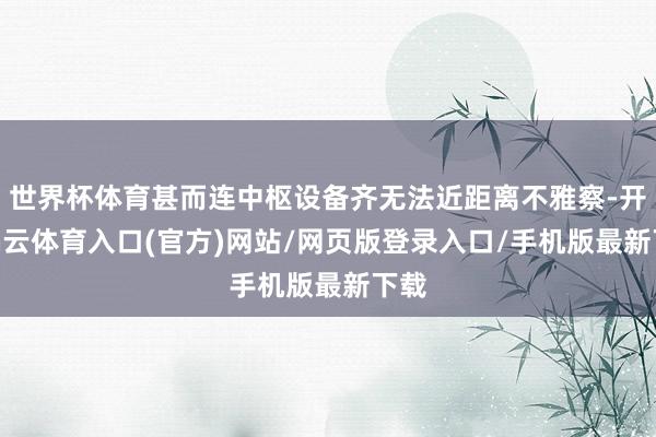 世界杯体育甚而连中枢设备齐无法近距离不雅察-开yun云体育入口(官方)网站/网页版登录入口/手机版最新下载