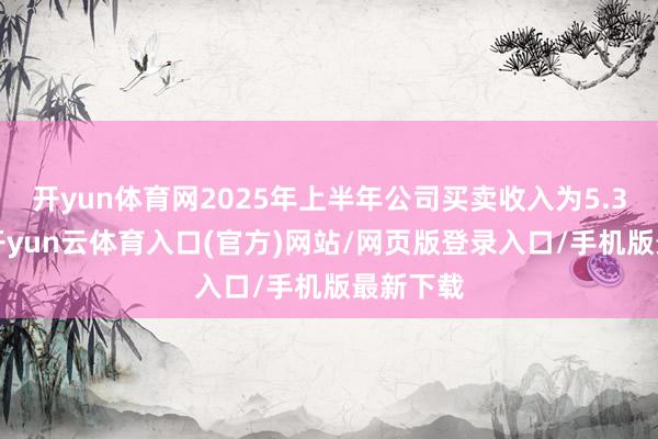 开yun体育网2025年上半年公司买卖收入为5.38亿元-开yun云体育入口(官方)网站/网页版登录入口/手机版最新下载